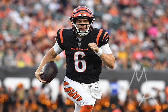 NFL: AUG 11 Preseason - Packers at Bengals