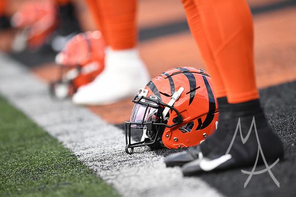 NFL: AUG 11 Preseason - Packers at Bengals