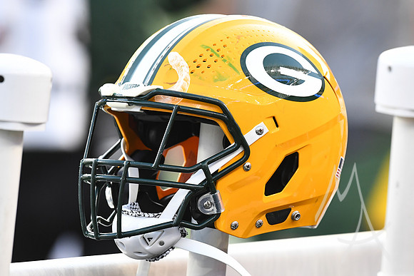 NFL: AUG 11 Preseason - Packers at Bengals