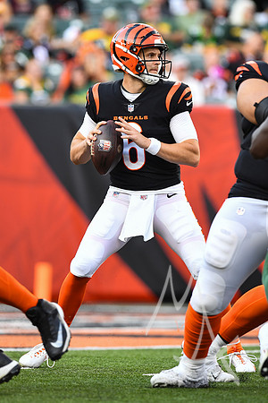 NFL: AUG 11 Preseason - Packers at Bengals