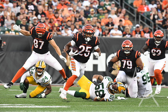 NFL: AUG 11 Preseason - Packers at Bengals