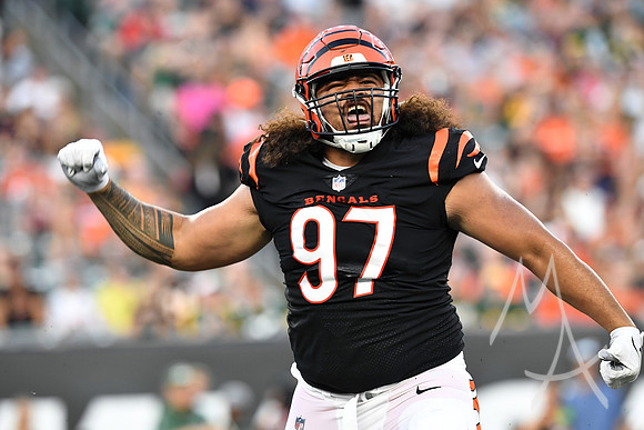 NFL: AUG 11 Preseason - Packers at Bengals