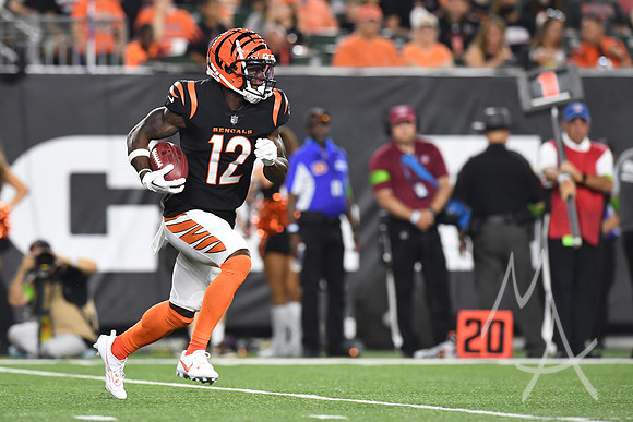 NFL: AUG 11 Preseason - Packers at Bengals