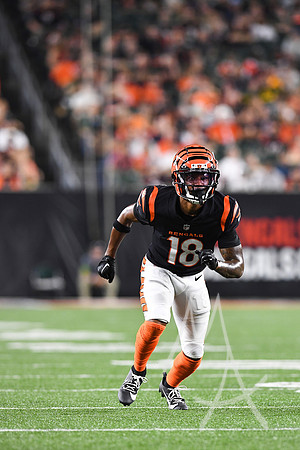 NFL: AUG 11 Preseason - Packers at Bengals
