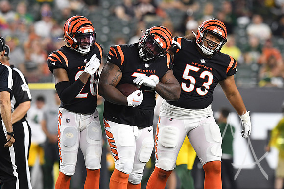 NFL: AUG 11 Preseason - Packers at Bengals