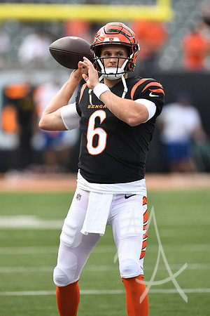 NFL: AUG 11 Preseason - Packers at Bengals