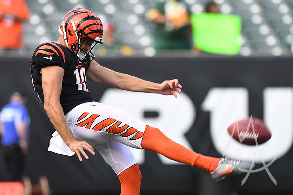 NFL: AUG 11 Preseason - Packers at Bengals