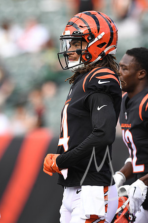 NFL: AUG 11 Preseason - Packers at Bengals