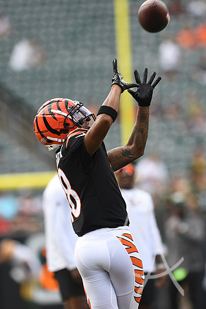 NFL: AUG 11 Preseason - Packers at Bengals