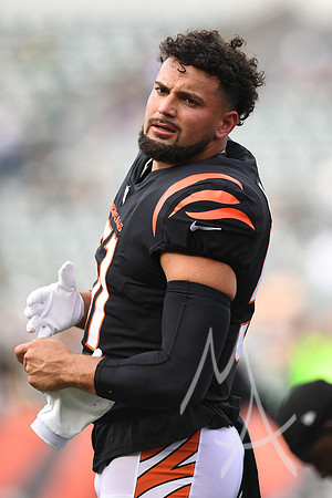NFL: AUG 11 Preseason - Packers at Bengals