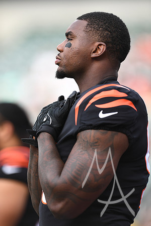 NFL: AUG 11 Preseason - Packers at Bengals