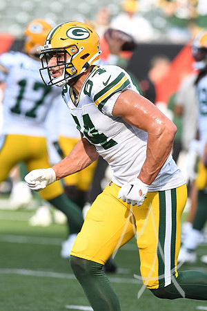 NFL: AUG 11 Preseason - Packers at Bengals