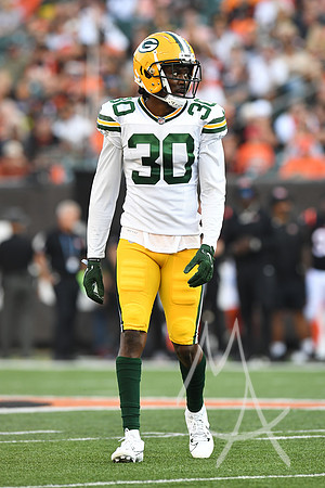 NFL: AUG 11 Preseason - Packers at Bengals