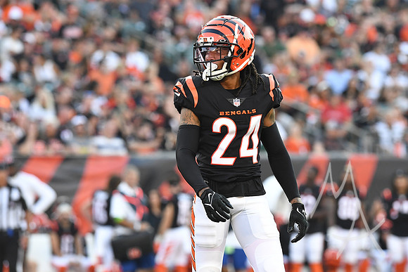 NFL: AUG 11 Preseason - Packers at Bengals