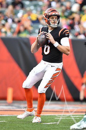 NFL: AUG 11 Preseason - Packers at Bengals
