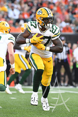 NFL: AUG 11 Preseason - Packers at Bengals