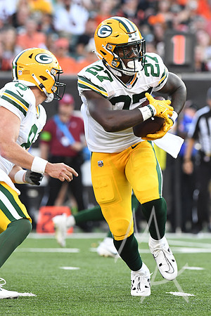 NFL: AUG 11 Preseason - Packers at Bengals