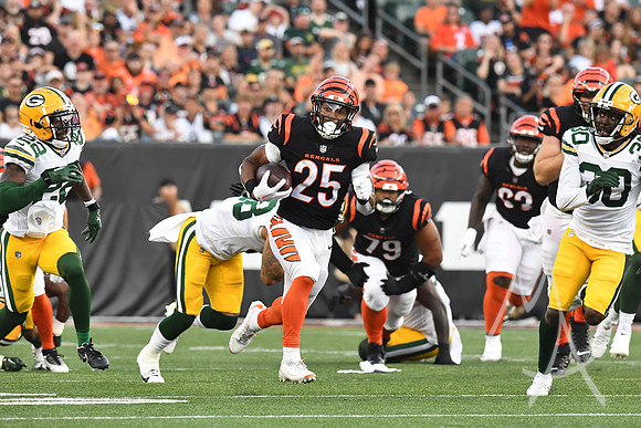 NFL: AUG 11 Preseason - Packers at Bengals
