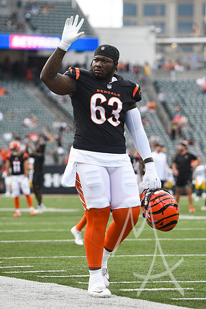 NFL: AUG 11 Preseason - Packers at Bengals
