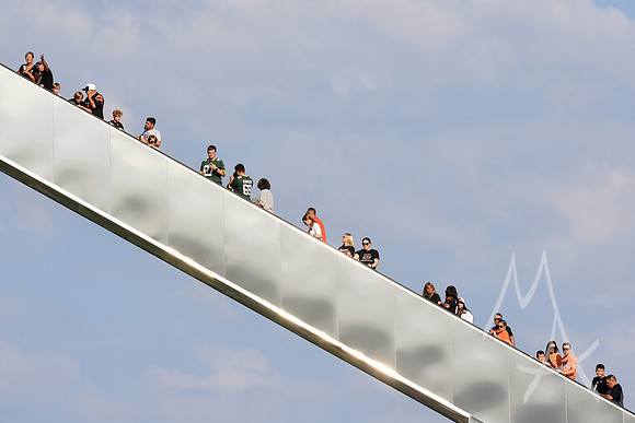 NFL: AUG 11 Preseason - Packers at Bengals