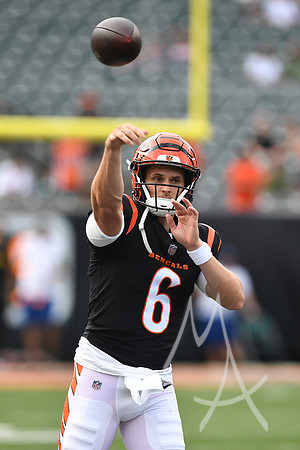 NFL: AUG 11 Preseason - Packers at Bengals