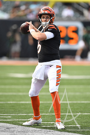 NFL: AUG 11 Preseason - Packers at Bengals