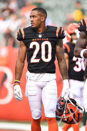 NFL: AUG 11 Preseason - Packers at Bengals
