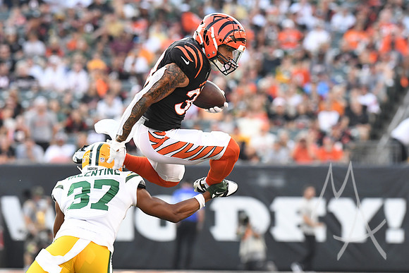 NFL: AUG 11 Preseason - Packers at Bengals