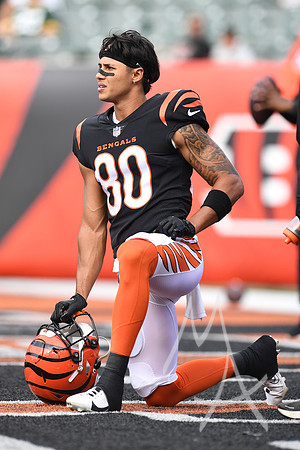 NFL: AUG 11 Preseason - Packers at Bengals