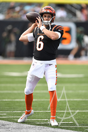 NFL: AUG 11 Preseason - Packers at Bengals