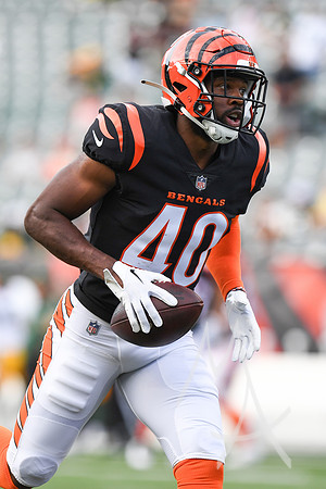 NFL: AUG 11 Preseason - Packers at Bengals