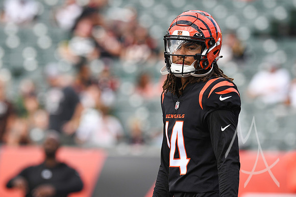 NFL: AUG 11 Preseason - Packers at Bengals