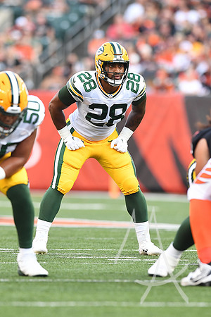 NFL: AUG 11 Preseason - Packers at Bengals