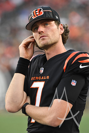 NFL: AUG 11 Preseason - Packers at Bengals