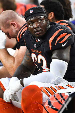 NFL: AUG 11 Preseason - Packers at Bengals