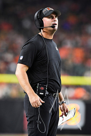 NFL: AUG 11 Preseason - Packers at Bengals