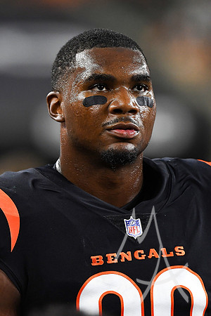 NFL: AUG 11 Preseason - Packers at Bengals