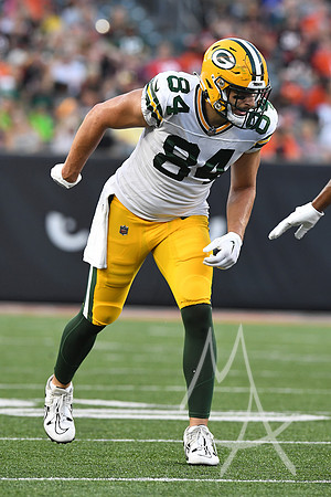 NFL: AUG 11 Preseason - Packers at Bengals