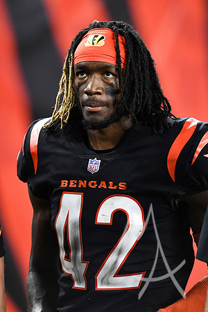 NFL: AUG 11 Preseason - Packers at Bengals