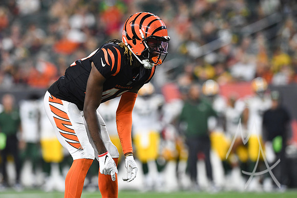 NFL: AUG 11 Preseason - Packers at Bengals