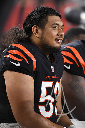 NFL: AUG 11 Preseason - Packers at Bengals