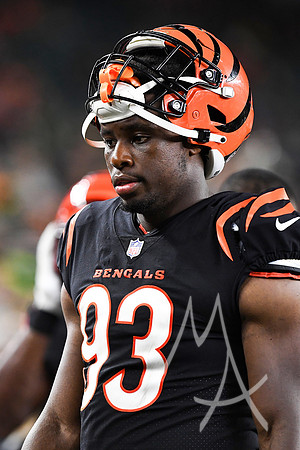 NFL: AUG 11 Preseason - Packers at Bengals