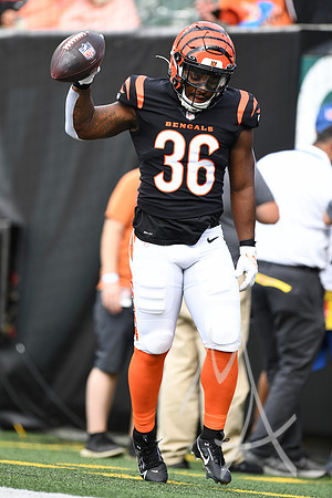NFL: AUG 11 Preseason - Packers at Bengals