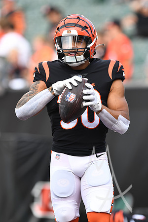 NFL: AUG 11 Preseason - Packers at Bengals