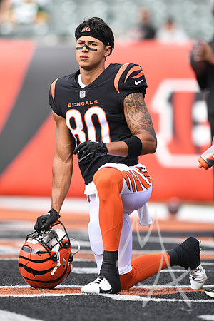 NFL: AUG 11 Preseason - Packers at Bengals