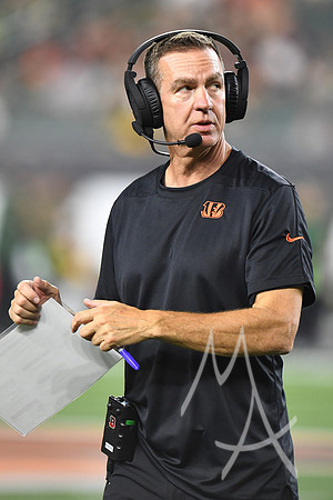 NFL: AUG 11 Preseason - Packers at Bengals
