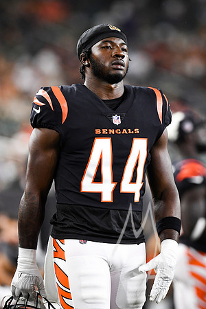NFL: AUG 11 Preseason - Packers at Bengals