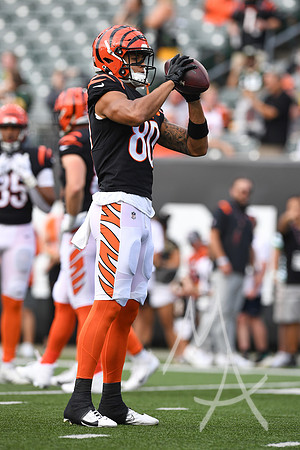 NFL: AUG 11 Preseason - Packers at Bengals