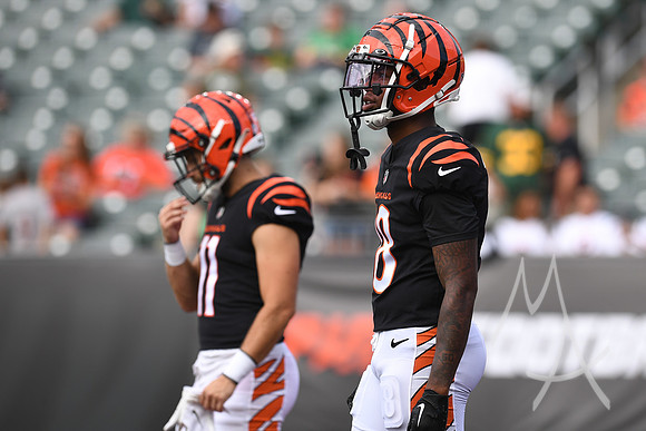NFL: AUG 11 Preseason - Packers at Bengals