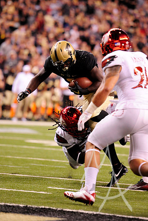 COLLEGE FOOTBALL: SEP 02 Louisville v Purdue